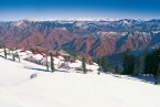 Shimla 