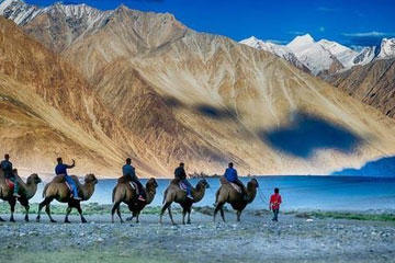 Chandigarh to Leh Taxi Service