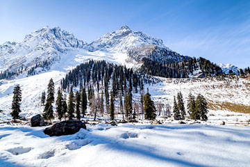 Srinagar, Sonmarg, Gulmarg, Pahalgam, Chandigarh from Jammu