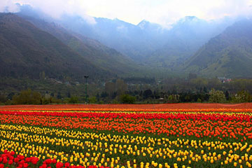 Srinagar Gulmarg Pahalgam Amritsar from Jammu 6 days